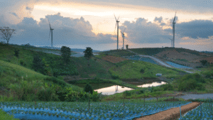 Indonesia - Renewable Energy 2021