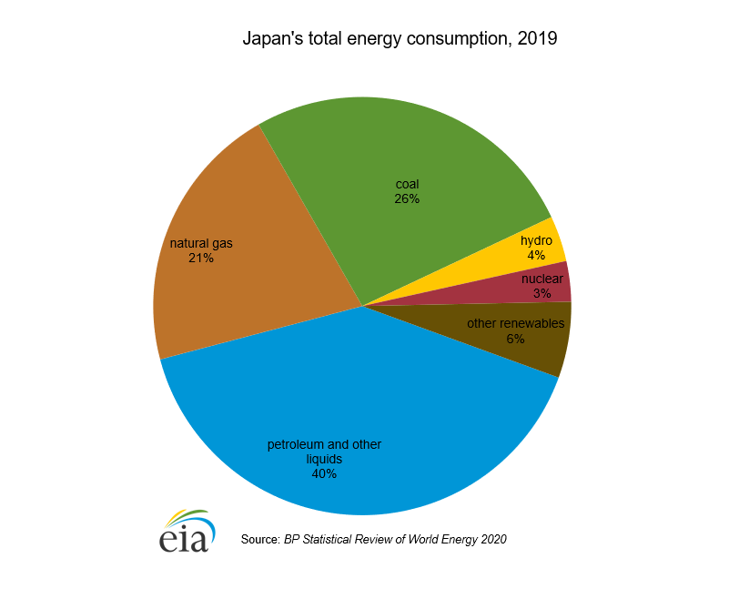 fossil fuels pie chart