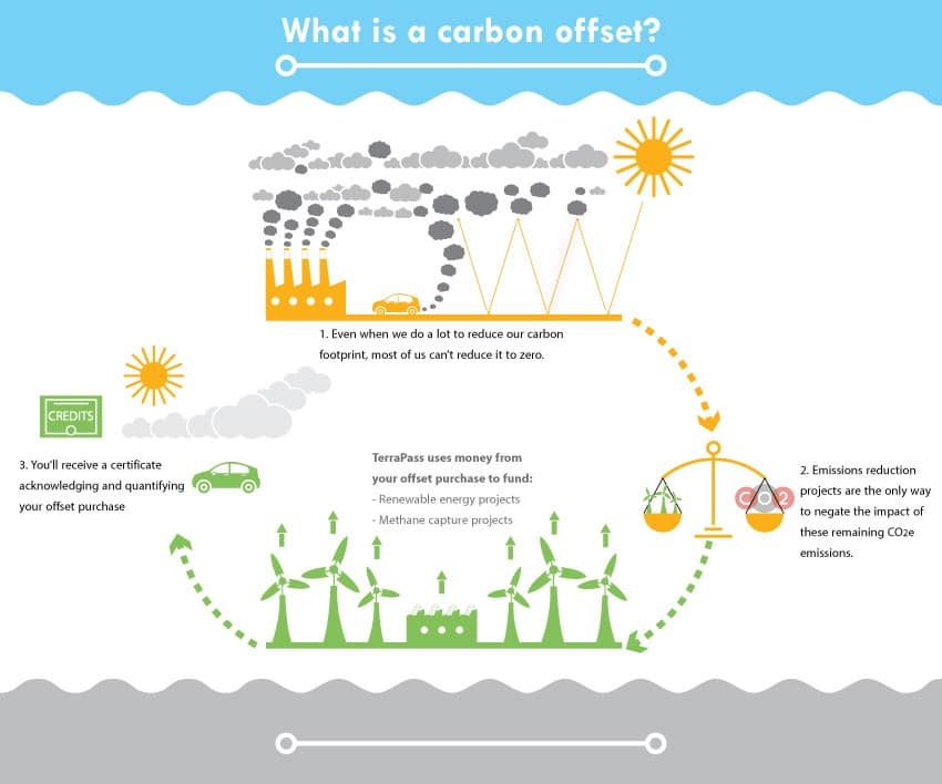 Carbon offsets are a common way that net-zero companies work to achieve net-zero.