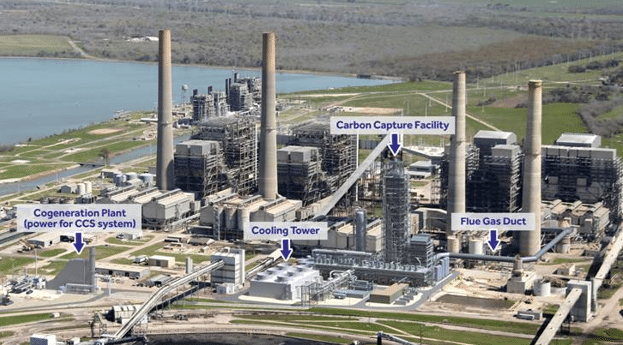 The Century Plant in Texas, United States.