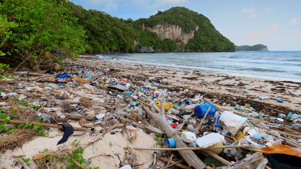 Ocean Plastic Pollution in Indonesia