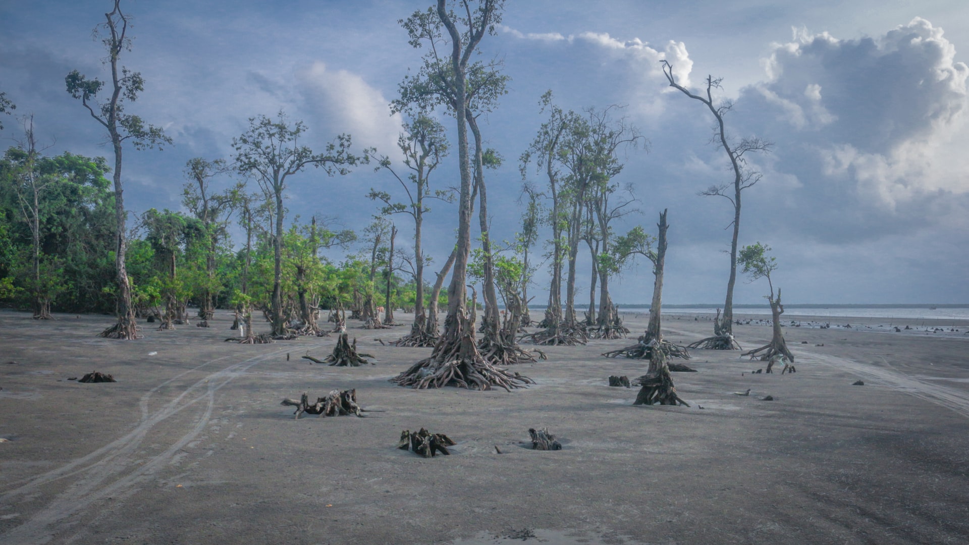 Climate Impacts Bangladesh