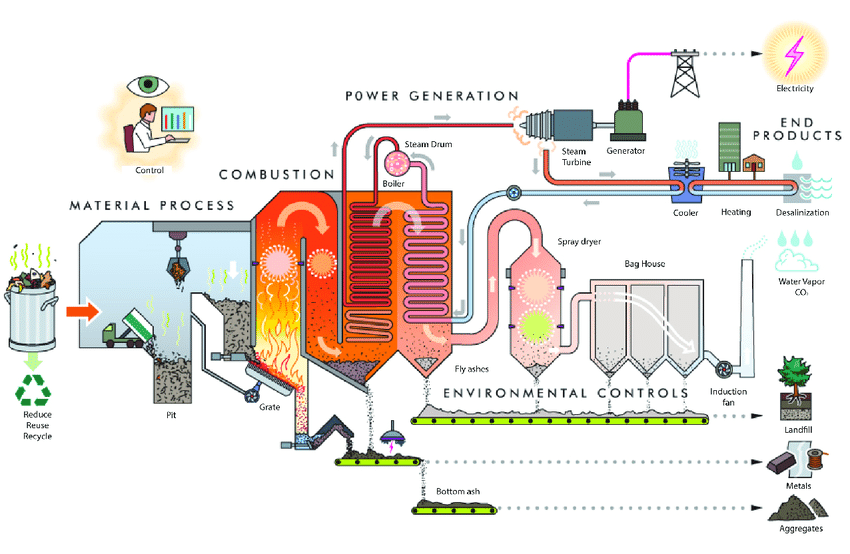 Biomass energy is a common way renewable energy companies in Singapore produce green energy.