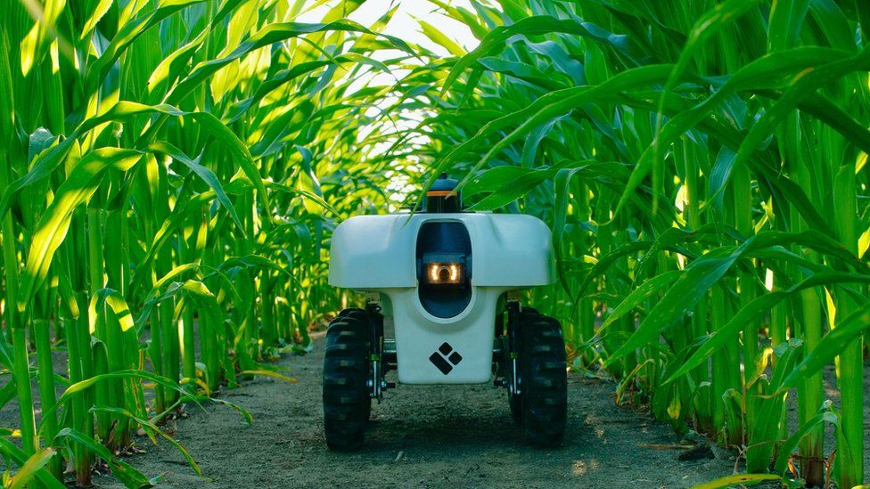 Technical innovation of advanced robots will play a critical role in the future of agriculture.