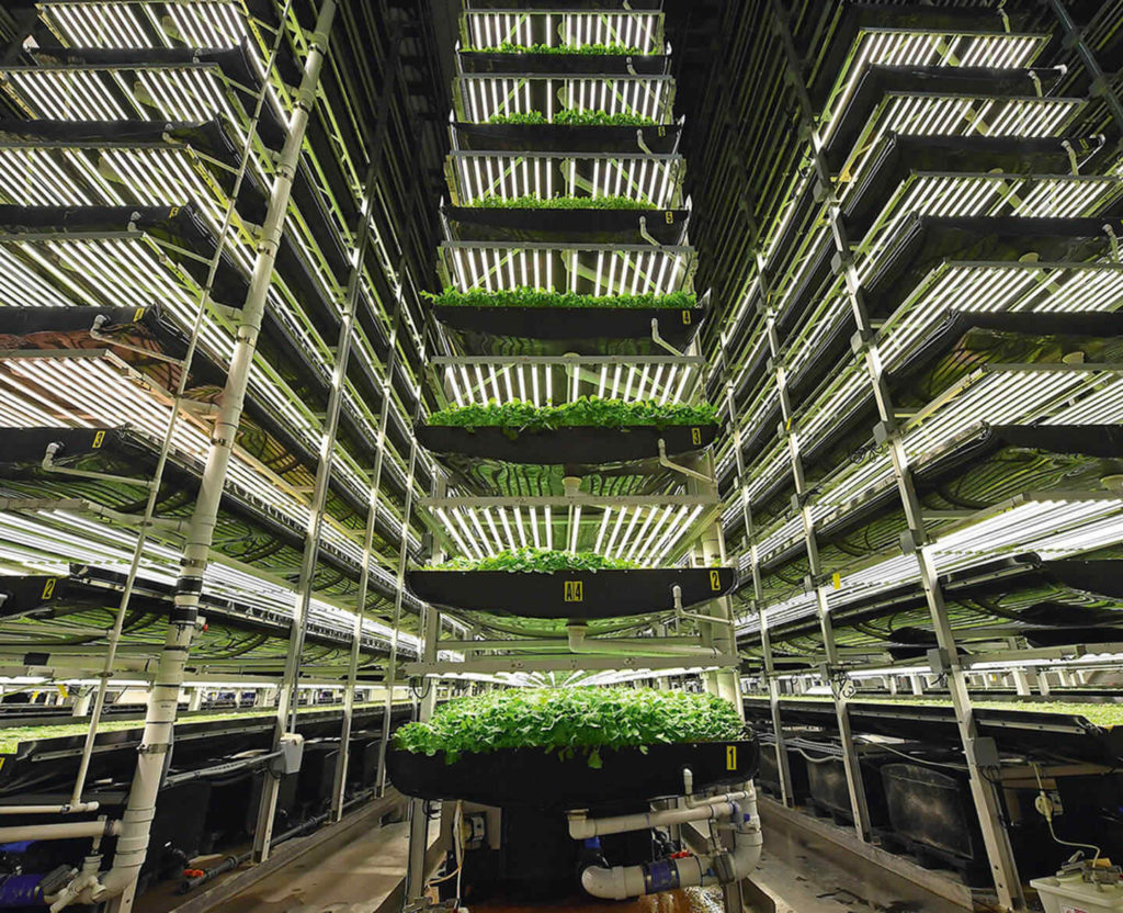 Vertical farming is a way to reduce energy demand and supplement green technology.