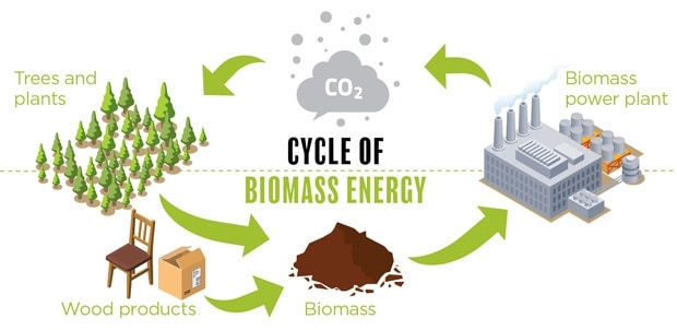Biomass energy is a controversial green technology.