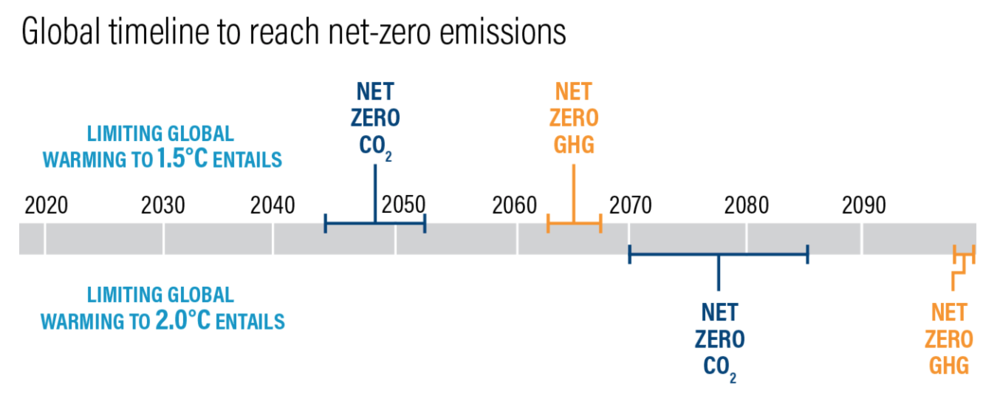Net-zero by 2050 timeline.
