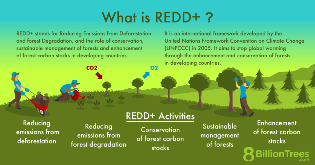 REDD+ is a unique carbon credit system - a positive form of climate change policy.
