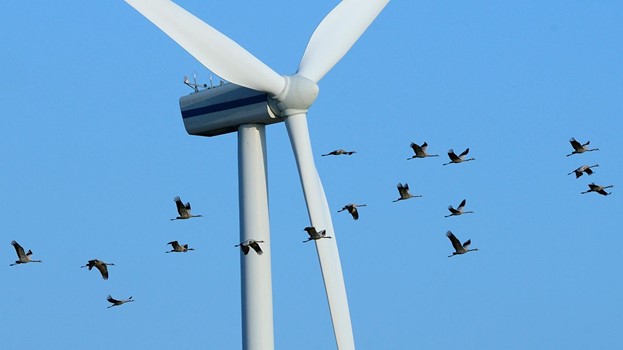 Wind energy facts, advantages, and disadvantages - Caltech Science