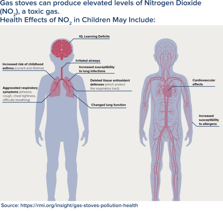 The Transition to Clean Cooking How to Replace Gas?