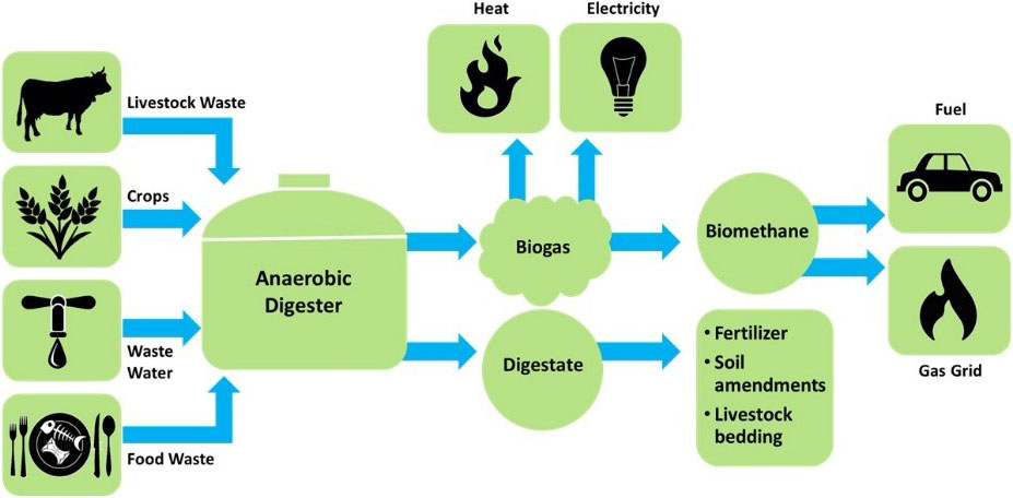 Biofuel ("green" natural gas) is renewable.