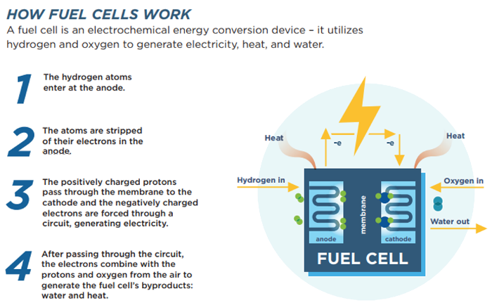 How hydrogen fuel cells work.