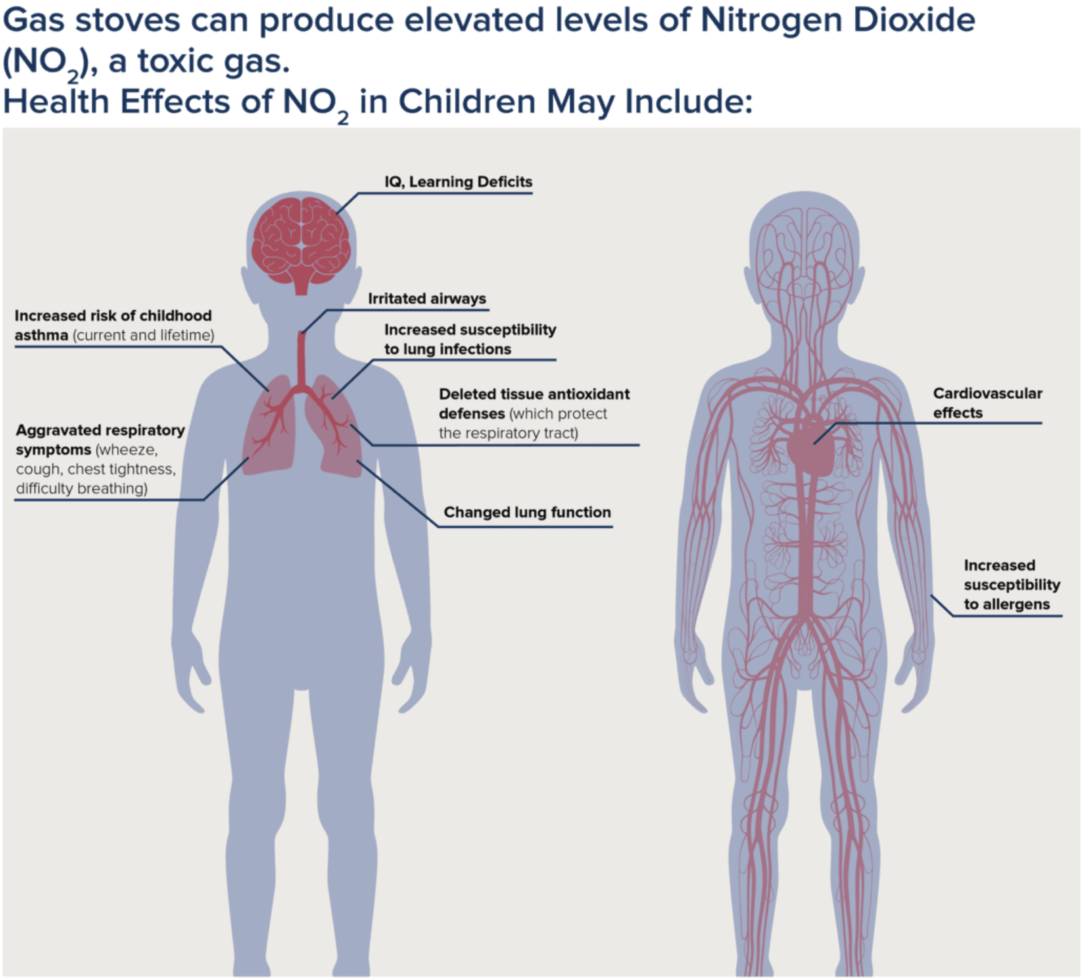 Global Cooksafe Coalition S Mission To Move From Gas To Sustainable Cooking