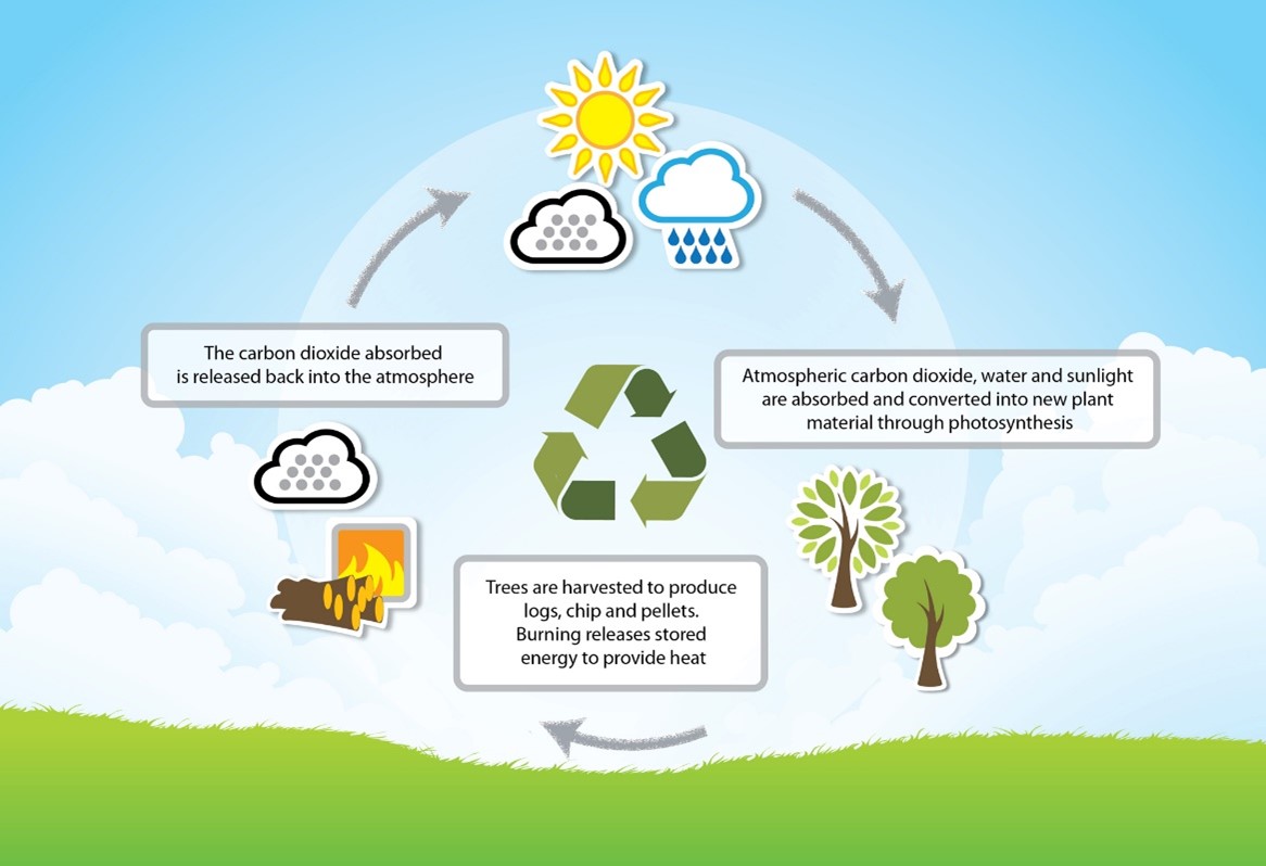 Is Biofuel Renewable? The Ongoing Debate