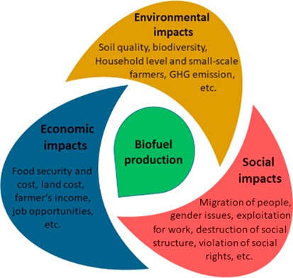 The impacts of biofuels.