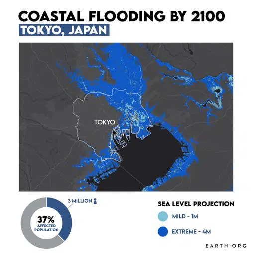 Coastal flooding estimations in Tokyo Bay due to Climate Change, which is one of Japan's environmental issues.