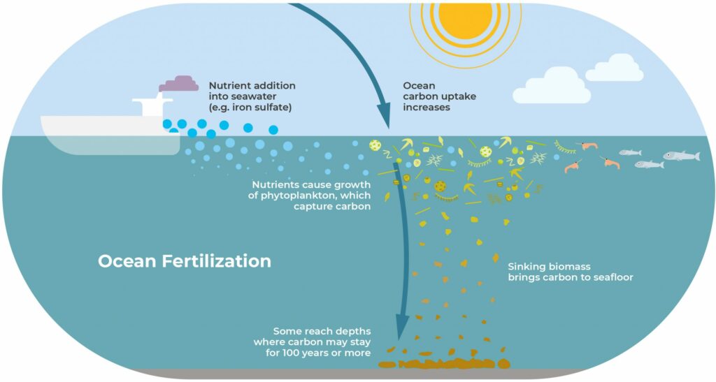 The process of ocean fertilitsation.