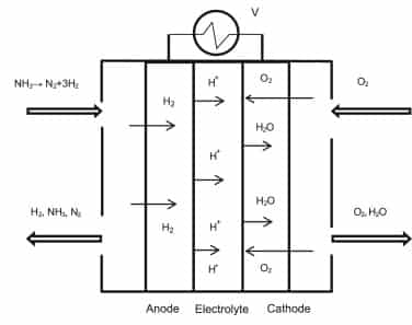 Diagram of how ammonia fuel cells work.