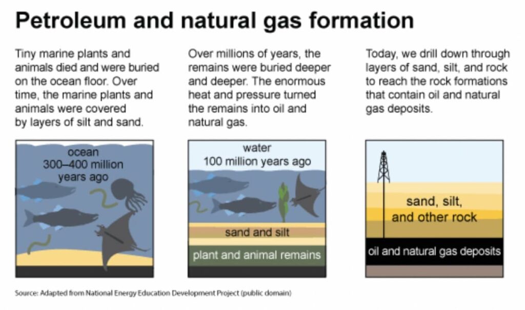 How petroleum and natural gas are formed.