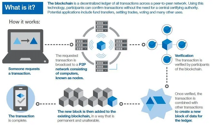 How blockchain technology can be used to combat carbon credit fraud.