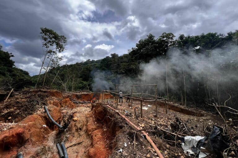 Deforestation: Causes, Effects and Solutions