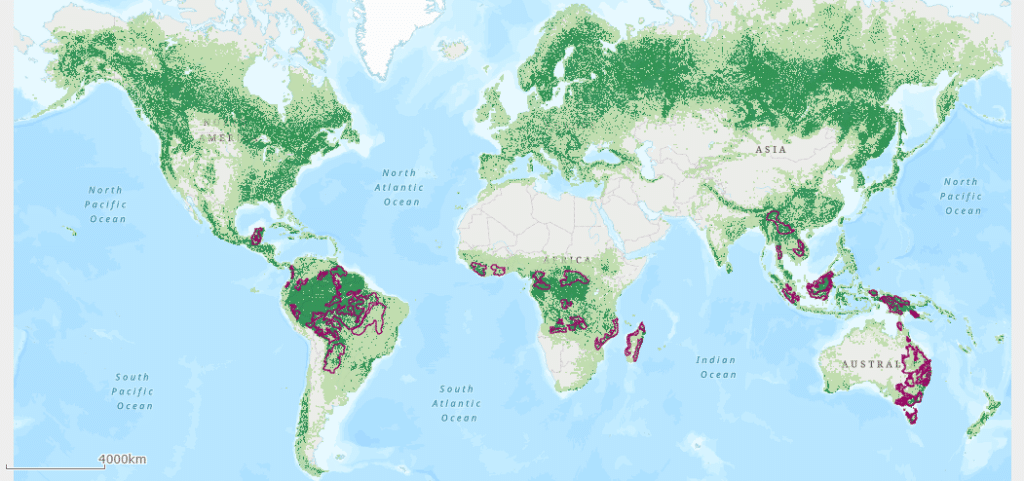 Map of global deforestation hotspots