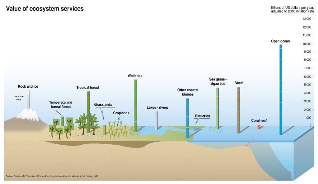 Value of global ecosystem services