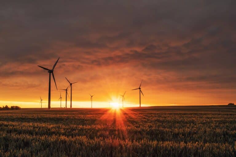 UN and IRENA: Renewables the Cheapest Electricity Source in 2024