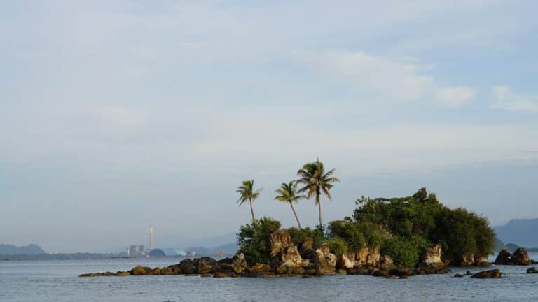 Domestic Banks Are Propping Up Indonesian Coal Despite Climate Risks