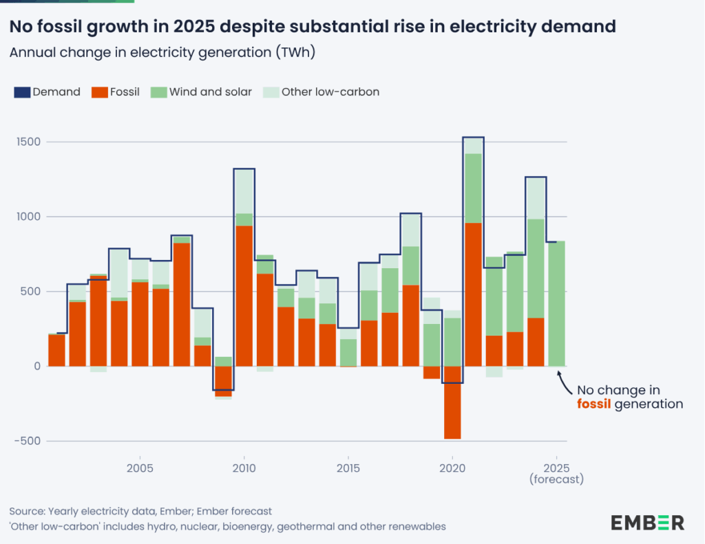 No fossil growth in 2025