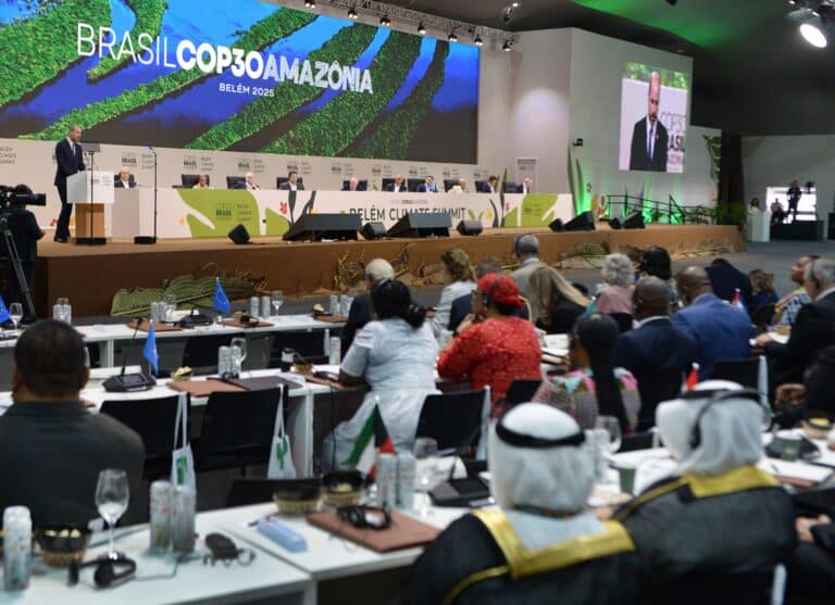 Climate Finance at COP30: Can Developing Countries Expect a Breakthrough?