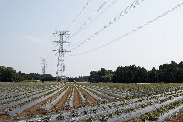 Expanding the Japan's Energy Storage Market