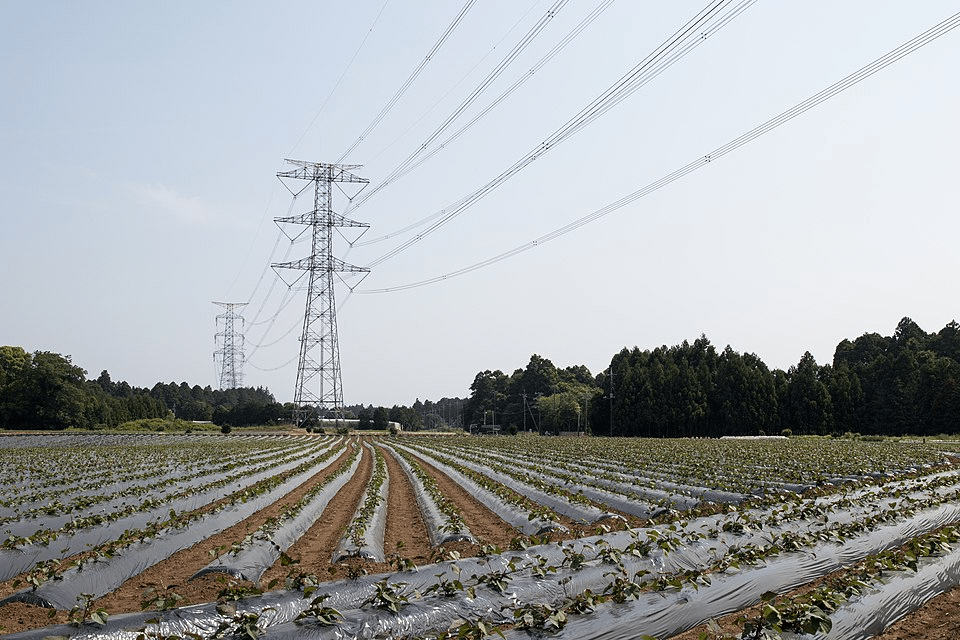 Shin-Sodegaura Power Line (500 kV electric power line), Katori City, Chiba Prefecture, Japan